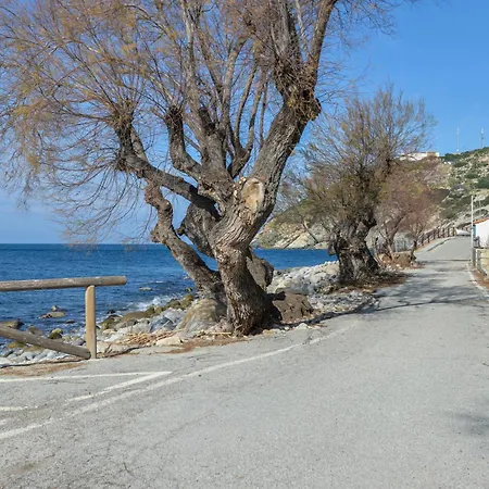 Апартаменты Casa Gaia Direttamente Sul Mare Помонте